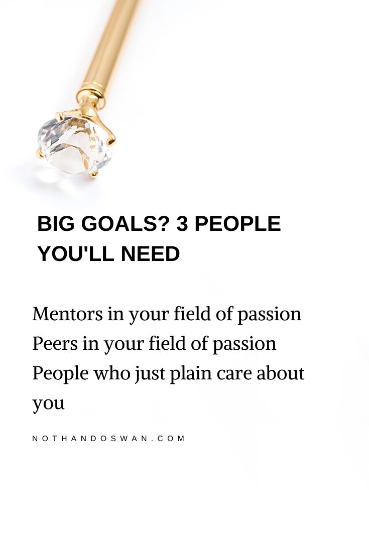 Big goals? Read this post to build your team and get closer to achieving your long-term goals. Productivity; mentorship; mentors.